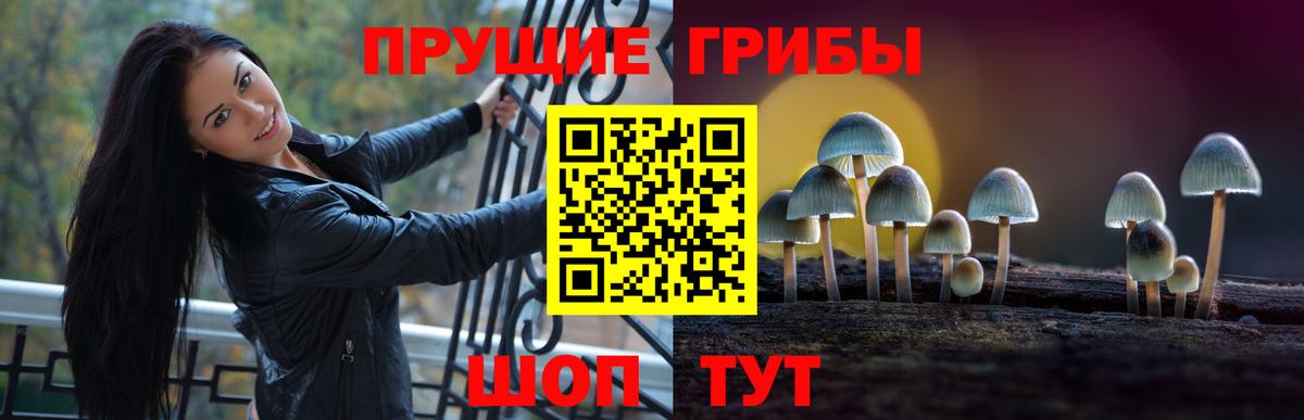 Галлюциногенные грибы Кашира