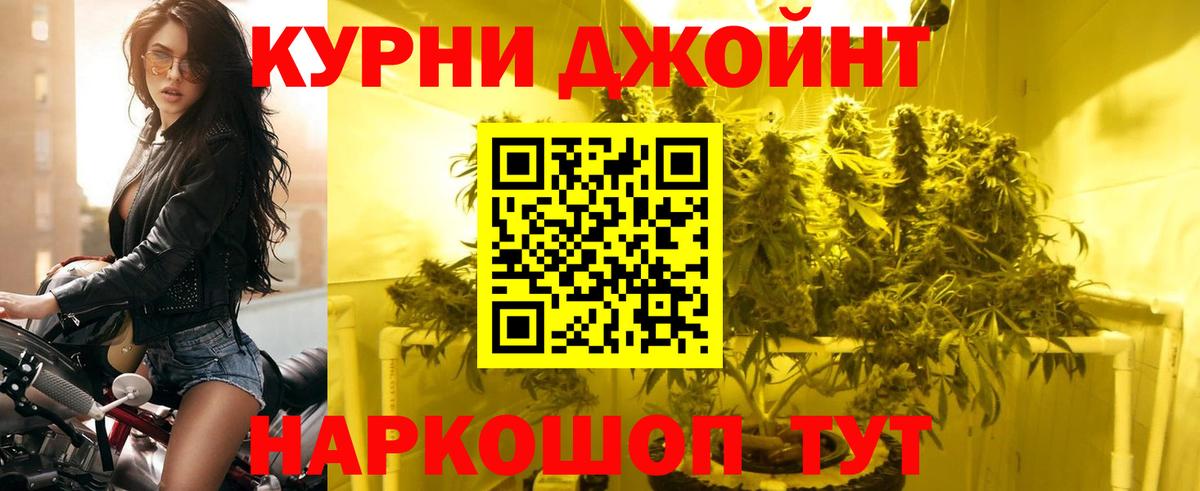 Кашира  Бошки Шишки сатива  Вход с VPN  Каннабис сатива  Бошки марихуана VHQ 